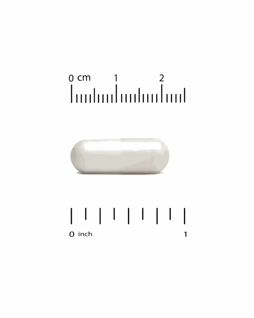 A0069-3.webp